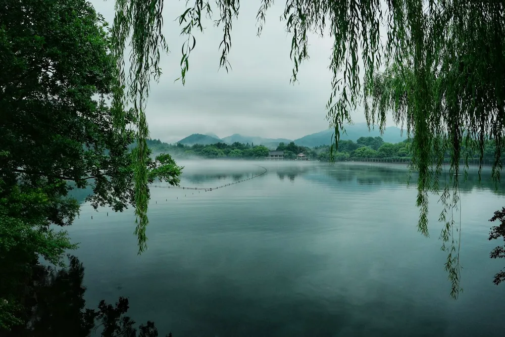 Willow branches over West Lake in Hangzhou